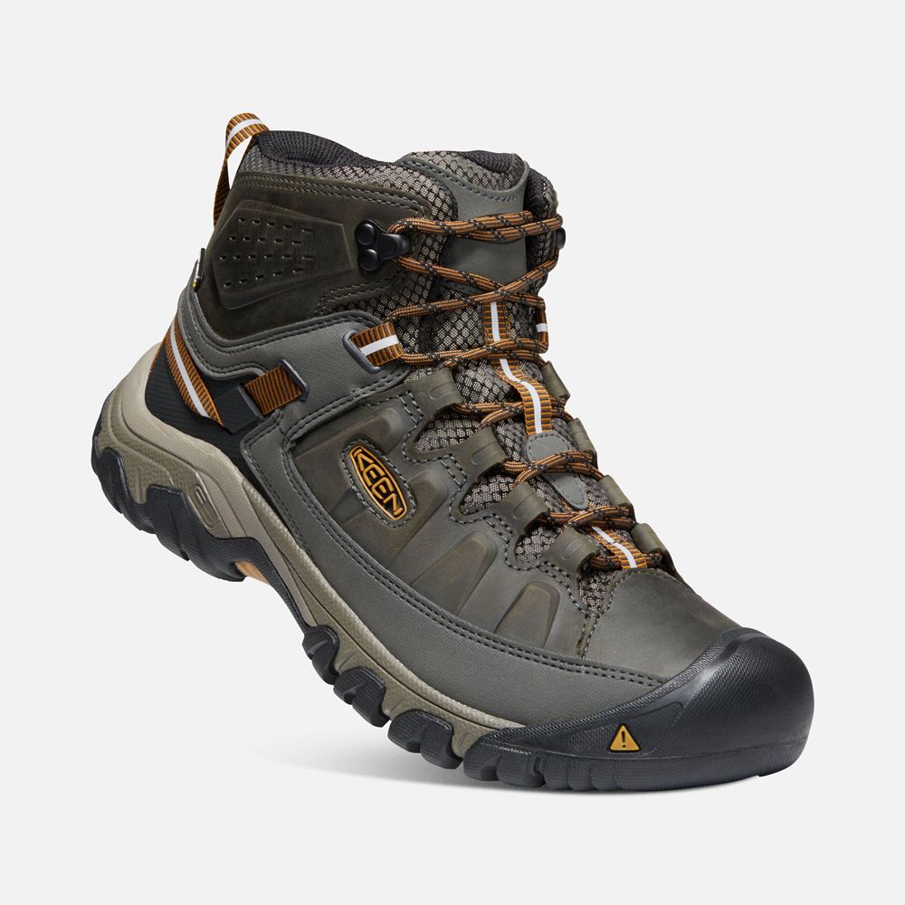 Keen Laarzen Heren Olijfgroen/Zwart - Targhee Iii Waterproof Mid - 87923-WVEK